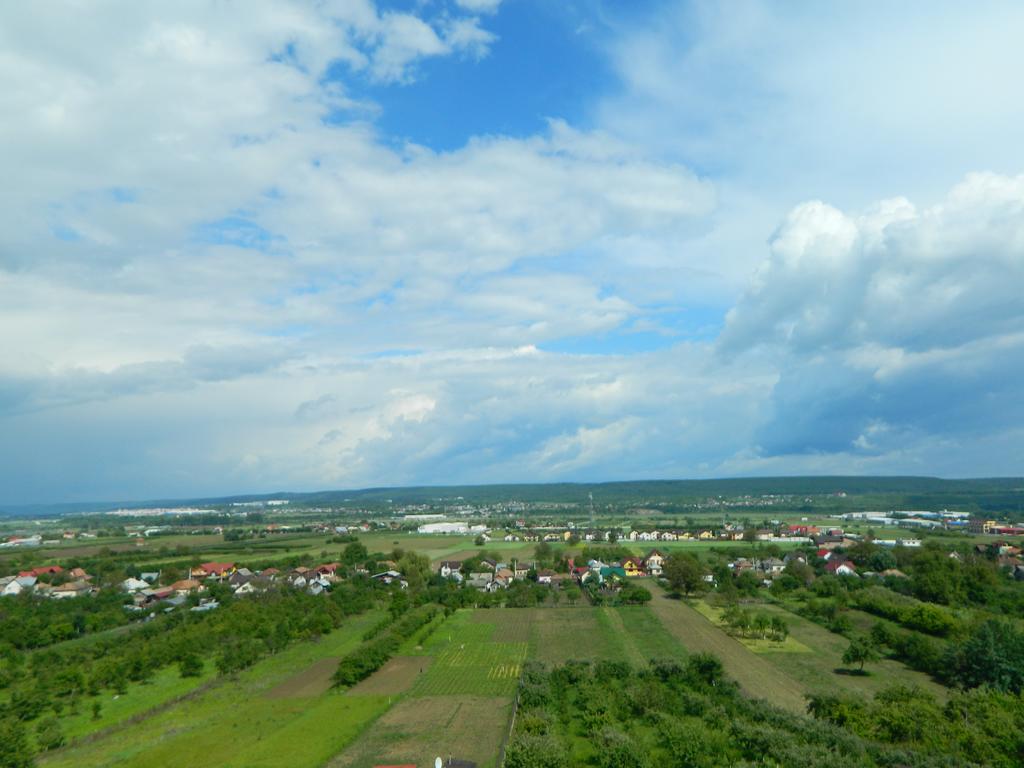 Pensiunea Andrei Maracineni Exterior photo