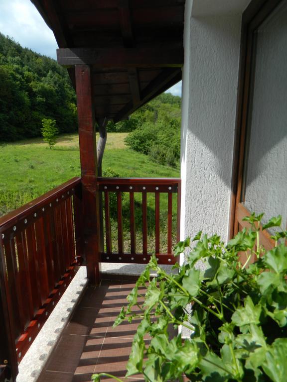 Pensiunea Andrei Maracineni Exterior photo
