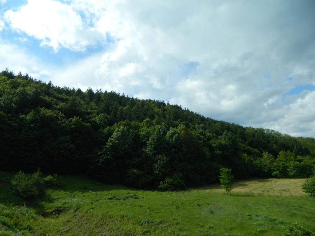 Pensiunea Andrei Maracineni Exterior photo