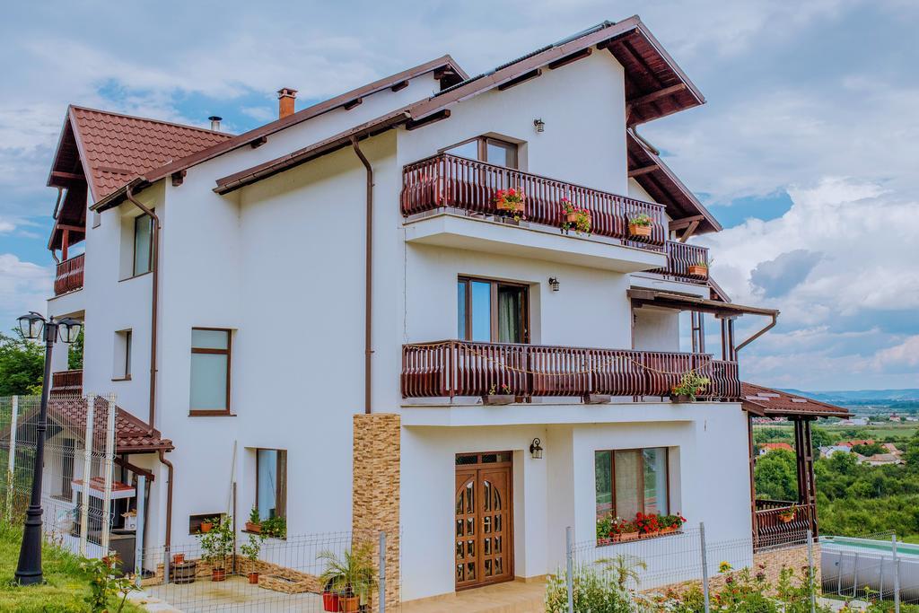 Pensiunea Andrei Maracineni Exterior photo